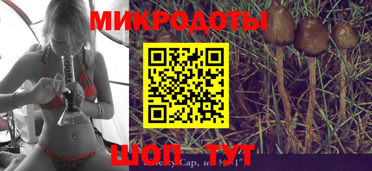Галлюциногенные грибы Psilocybine cubensis  Вход с VPN  Белорецк 